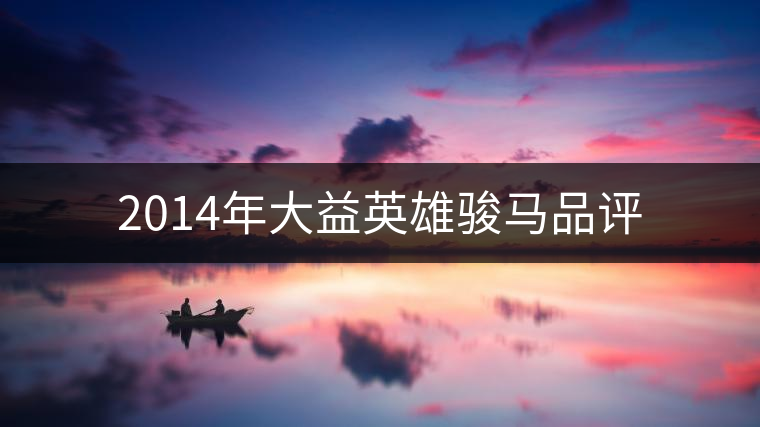 2014年大益英雄駿馬品評(píng)