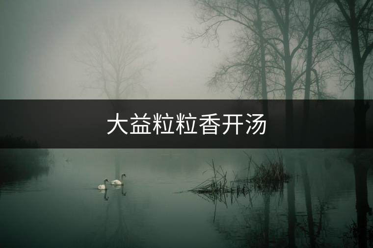 大益粒粒香開湯 大益粒粒香開湯