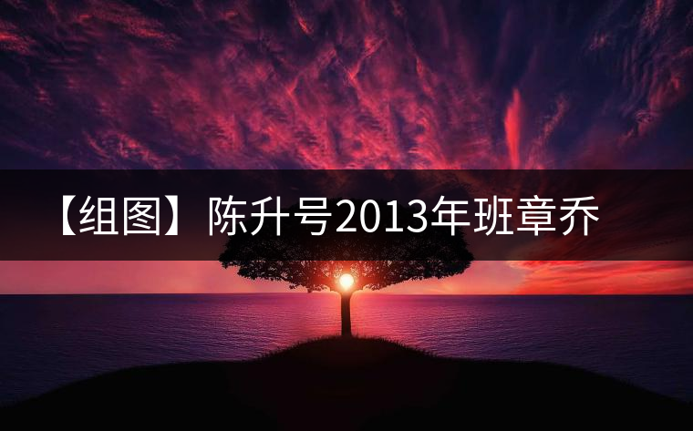 【組圖】陳升號(hào)2013年班章喬木開(kāi)湯
