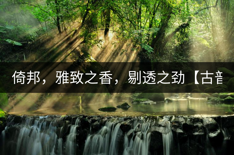 倚邦，雅致之香，剔透之勁【古普十二山品鑒】