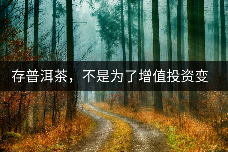 存普洱茶，不是為了增值投資變現，而是為了自己以后有純正的