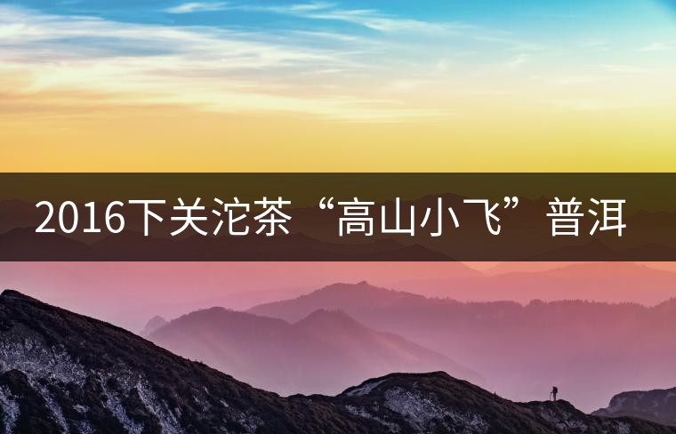 2016下關(guān)沱茶“高山小飛”普洱熟茶