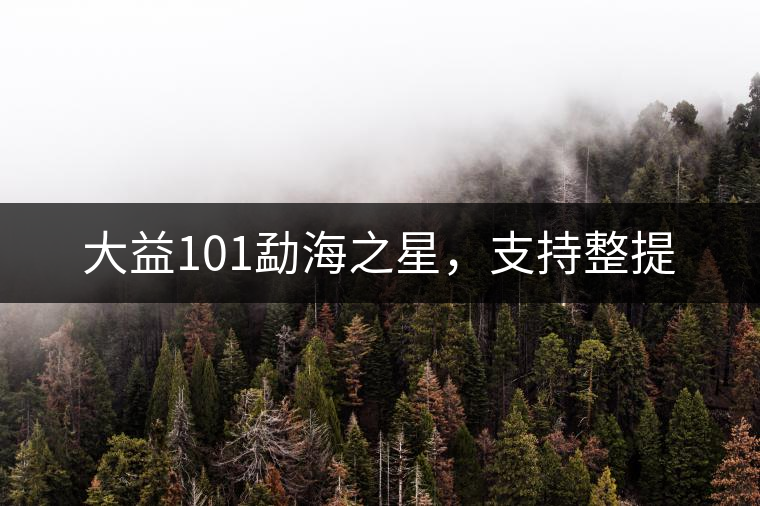 大益101勐海之星，支持整提