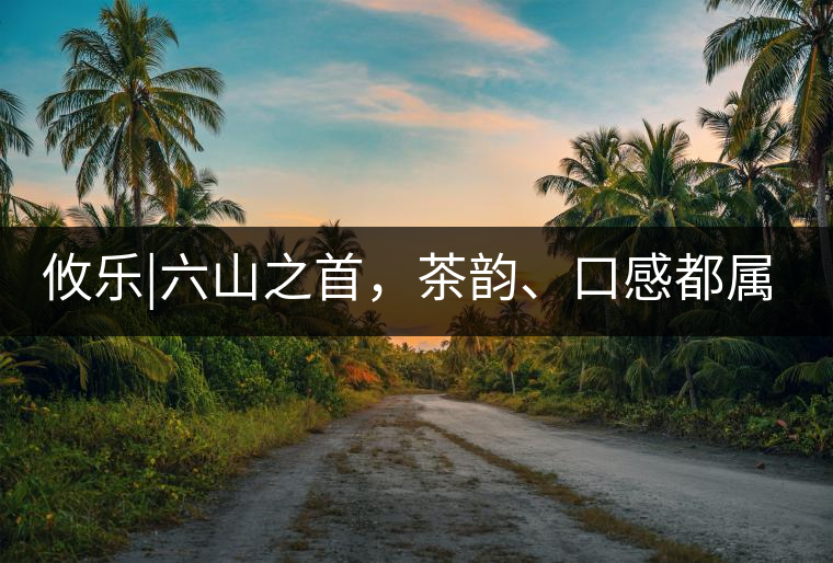 攸樂|六山之首，茶韻、口感都屬古六山一系