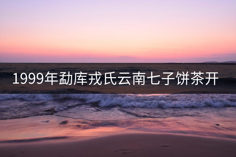 1999年勐庫戎氏云南七子餅茶開湯 1999年勐庫戎氏云南七子餅茶開湯