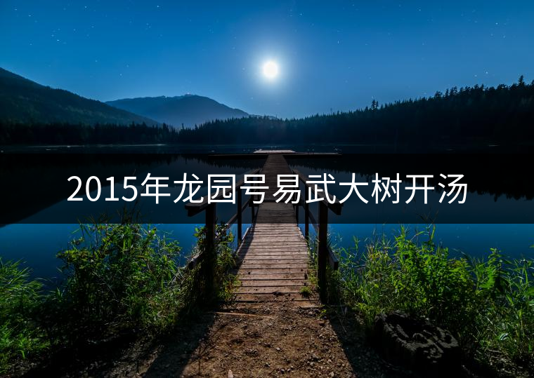 2015年龍園號易武大樹開湯 2015年龍園號易武大樹開湯