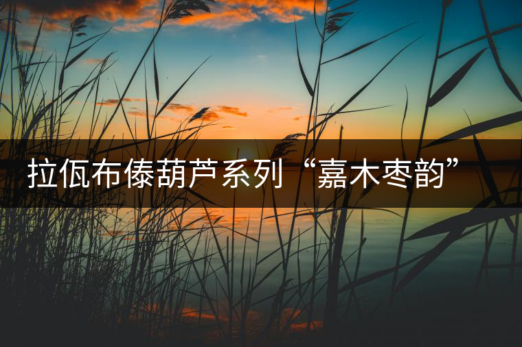 拉佤布傣葫蘆系列“嘉木棗韻”（合）開湯