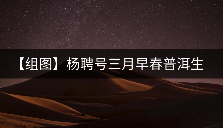 【組圖】楊聘號三月早春普洱生茶開湯 【組圖】楊聘號三月早春普洱生茶開湯