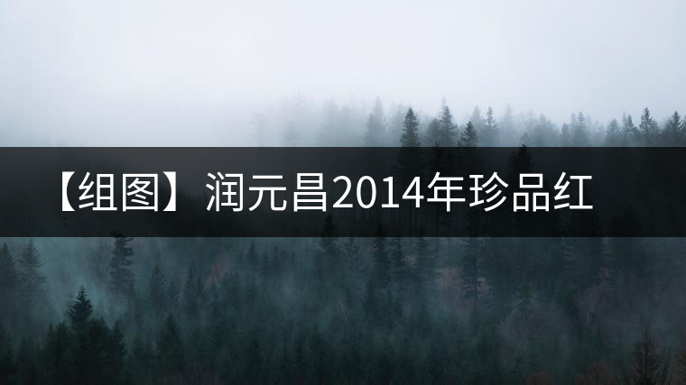 【組圖】潤(rùn)元昌2014年珍品紅印開(kāi)湯 【組圖】潤(rùn)元昌2014年珍品紅印開(kāi)湯