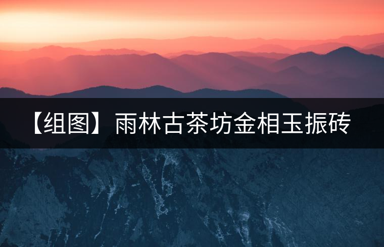 【組圖】雨林古茶坊金相玉振磚茶開(kāi)湯