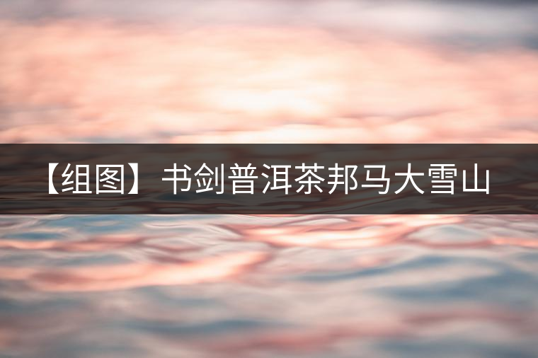 【組圖】書劍普洱茶邦馬大雪山野生古樹茶——深山藏韻開湯 【組圖】書劍普洱茶邦馬大雪山野生古樹茶——深山藏韻開湯