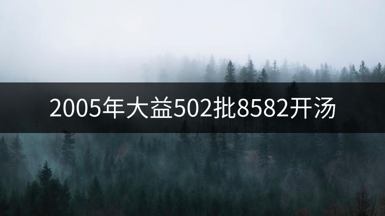 2005年大益502批8582開(kāi)湯 2005年大益502批8582開(kāi)湯