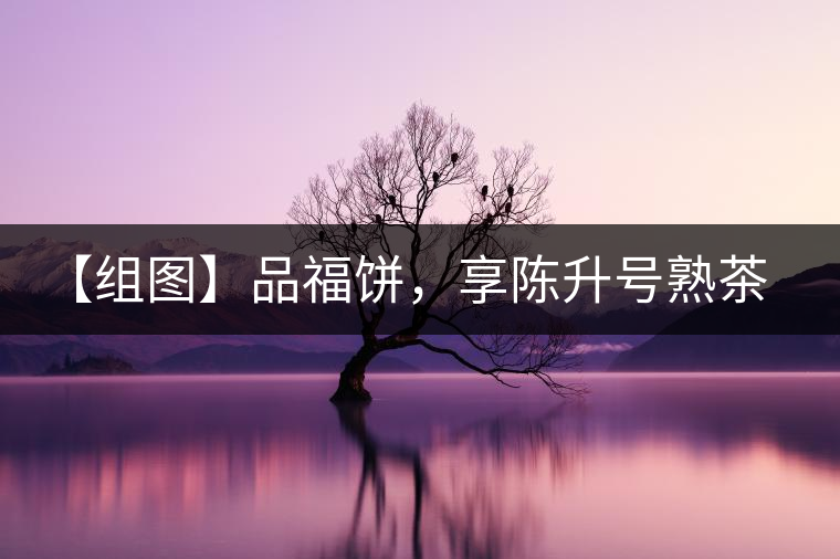 【組圖】品福餅，享陳升號熟茶滋味