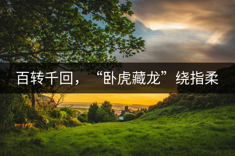 百轉(zhuǎn)千回，“臥虎藏龍”繞指柔