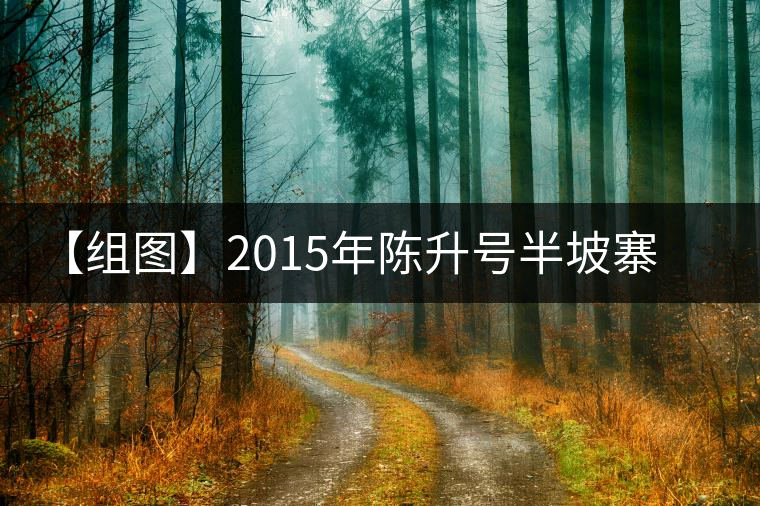 【組圖】2015年陳升號(hào)半坡寨普洱茶開(kāi)湯 【組圖】2015年陳升號(hào)半坡寨普洱茶開(kāi)湯