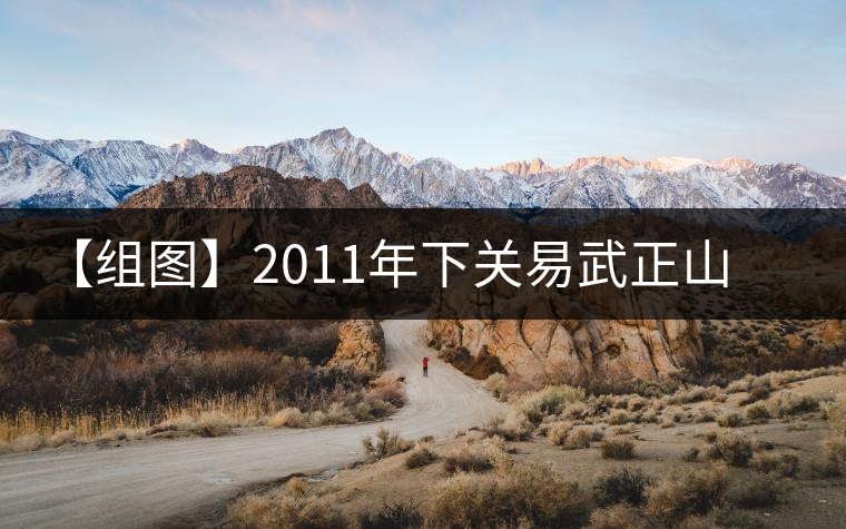 【組圖】2011年下關易武正山老樹沱茶開湯