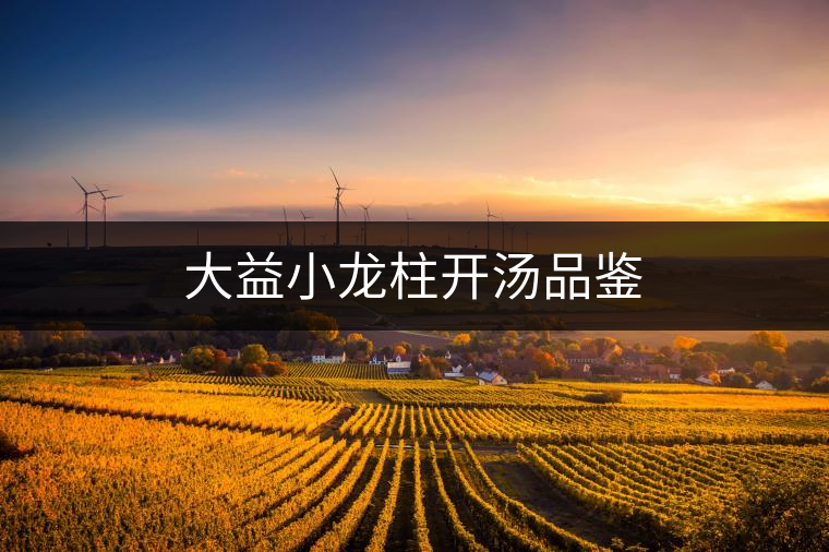 大益小龍柱開(kāi)湯品鑒