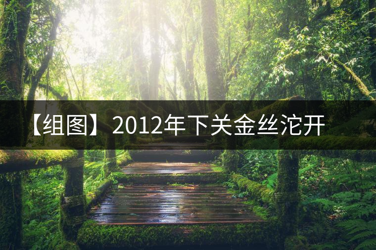 【組圖】2012年下關金絲沱開湯