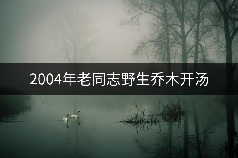 2004年老同志野生喬木開(kāi)湯 2004年老同志野生喬木開(kāi)湯