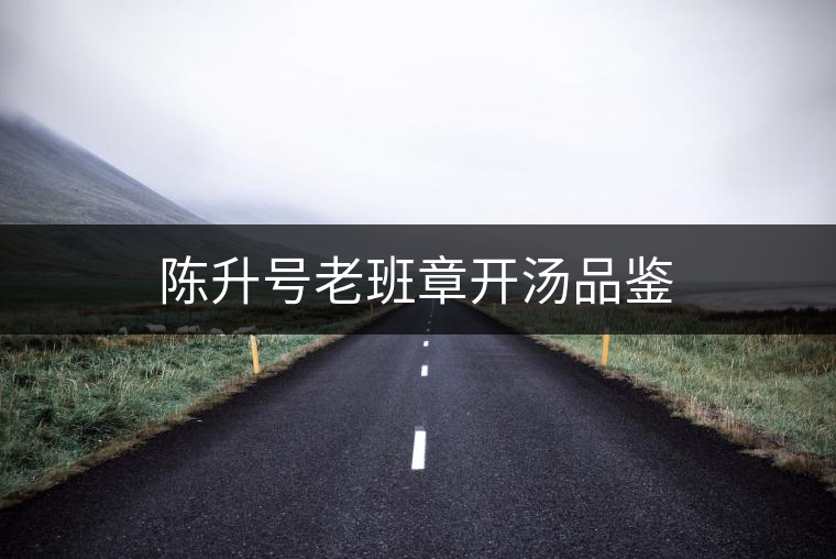 陳升號(hào)老班章開(kāi)湯品鑒 陳升號(hào)老班章開(kāi)湯品鑒