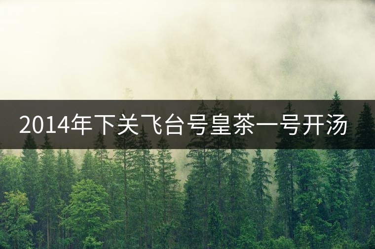 2014年下關(guān)飛臺號皇茶一號開湯品鑒
