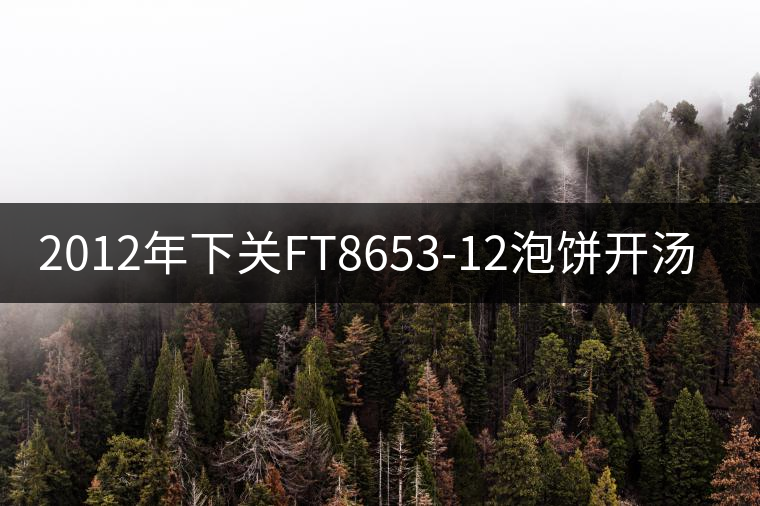 2012年下關FT8653-12泡餅開湯品鑒