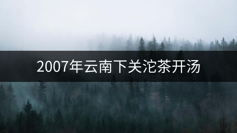 2007年云南下關(guān)沱茶開(kāi)湯