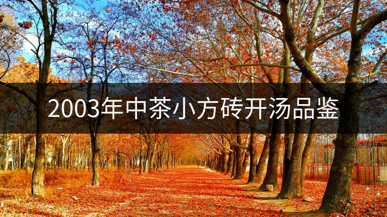2003年中茶小方磚開(kāi)湯品鑒 2003年中茶小方磚開(kāi)湯品鑒