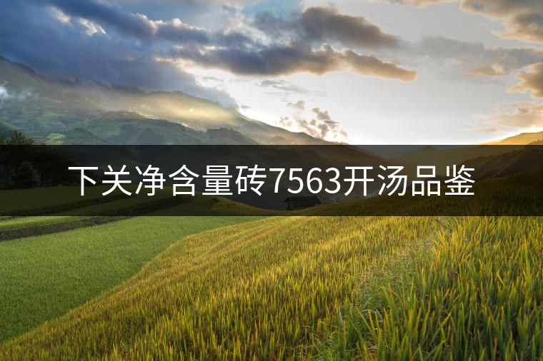 下關凈含量磚7563開湯品鑒