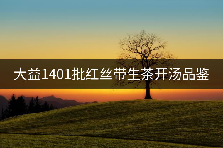 大益1401批紅絲帶生茶開湯品鑒