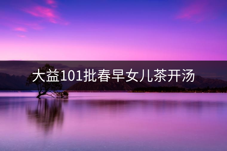 大益101批春早女兒茶開湯