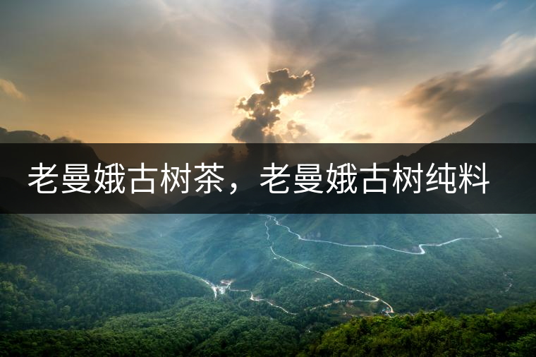 老曼娥古樹茶，老曼娥古樹純料生餅