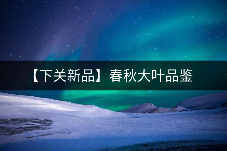 【下關(guān)新品】春秋大葉品鑒