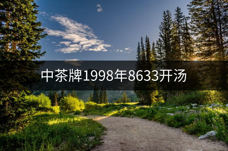 中茶牌1998年8633開(kāi)湯 中茶牌1998年8633開(kāi)湯