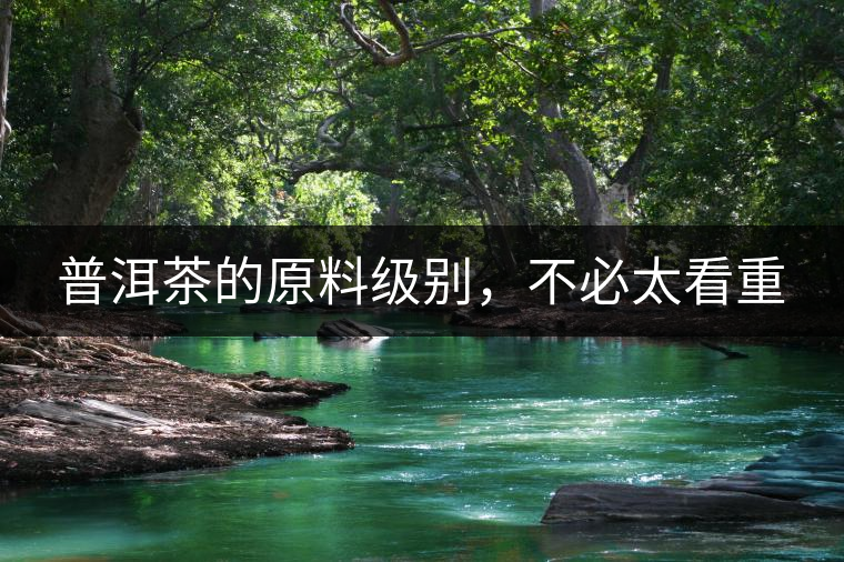 普洱茶的原料級別，不必太看重