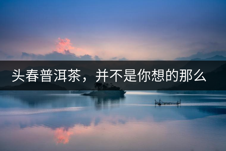 頭春普洱茶，并不是你想的那么好