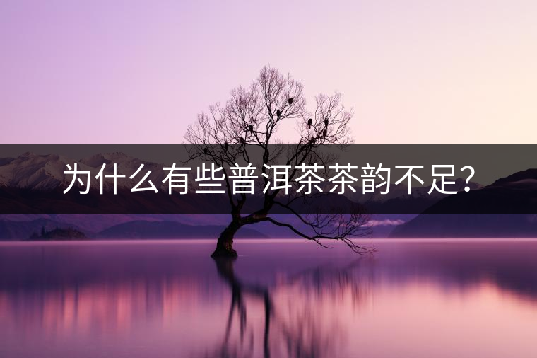 為什么有些普洱茶茶韻不足？