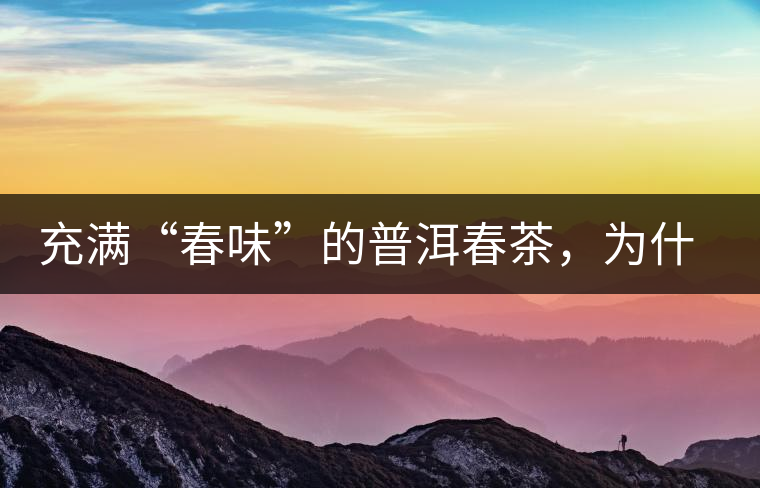 充滿“春味”的普洱春茶，為什么值得期待？
