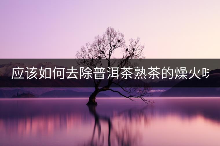 應該如何去除普洱茶熟茶的燥火味？