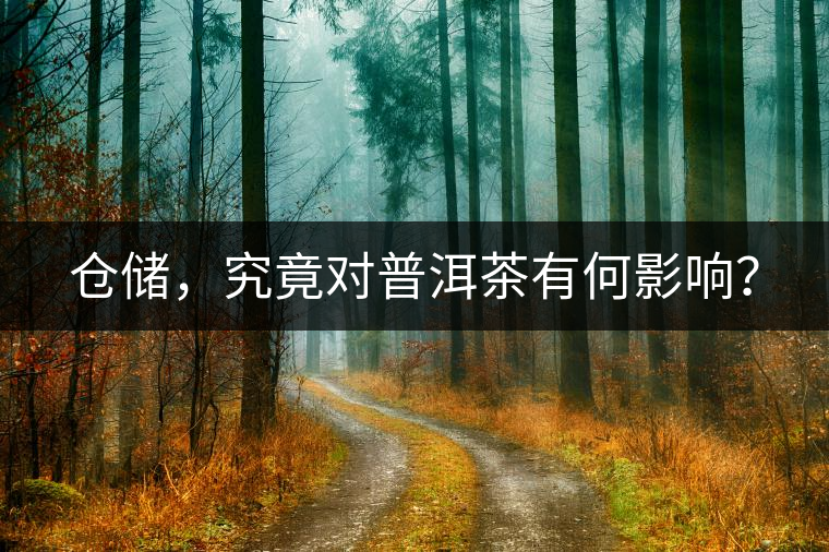 倉儲，究竟對普洱茶有何影響？