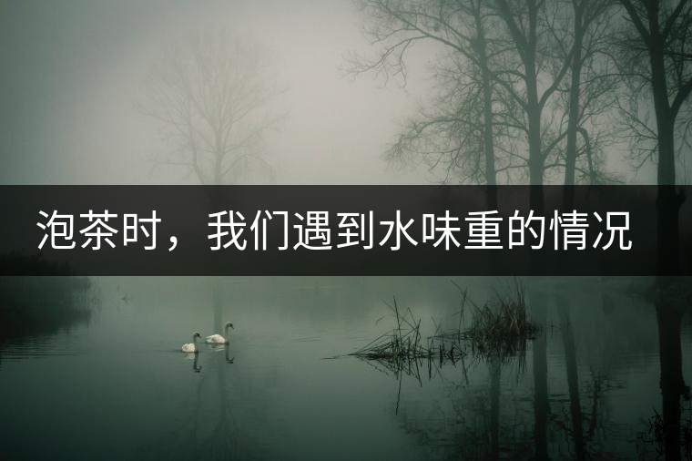 泡茶時，我們遇到水味重的情況是怎么回事呢?