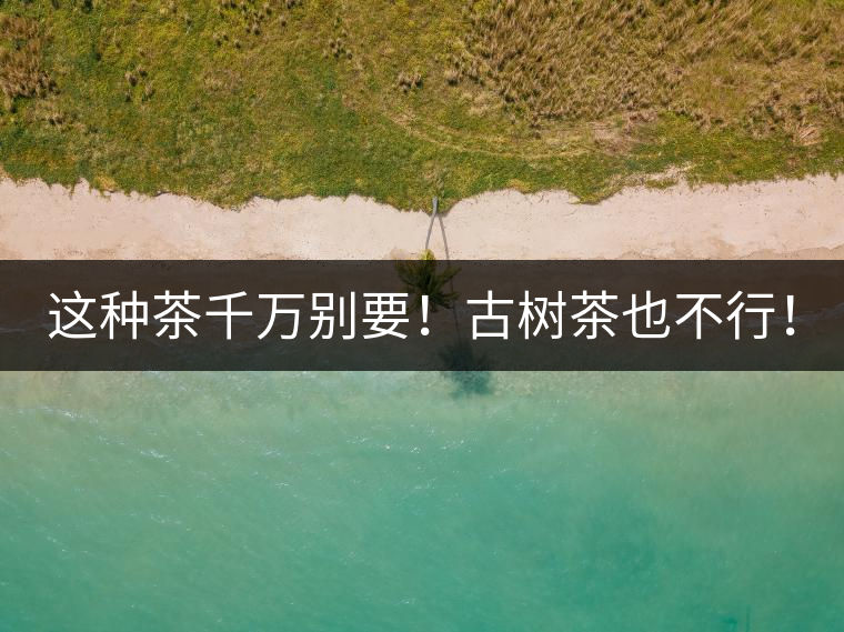 這種茶千萬別要！古樹茶也不行！