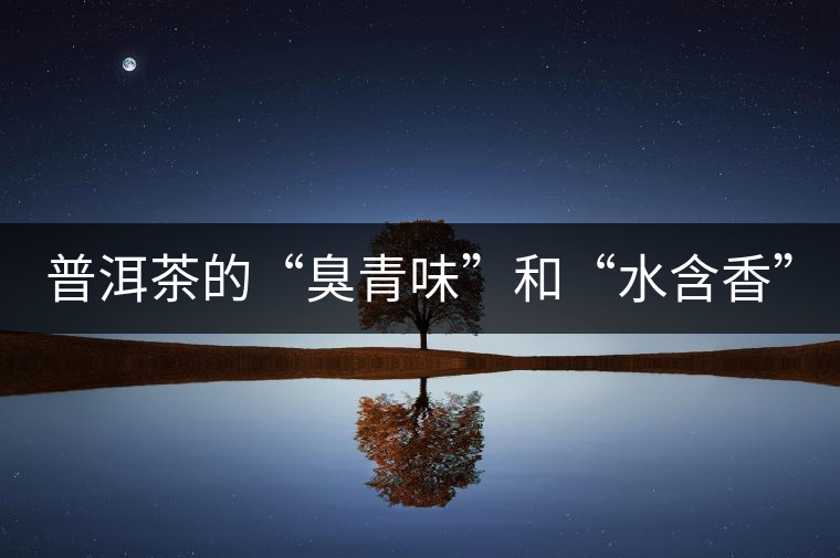 普洱茶的“臭青味”和“水含香”