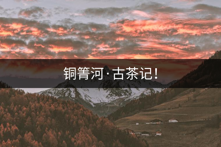 銅箐河·古茶記！