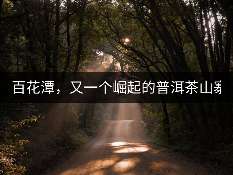 百花潭，又一個崛起的普洱茶山寨！