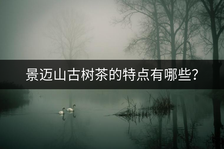 景邁山古樹茶的特點有哪些？
