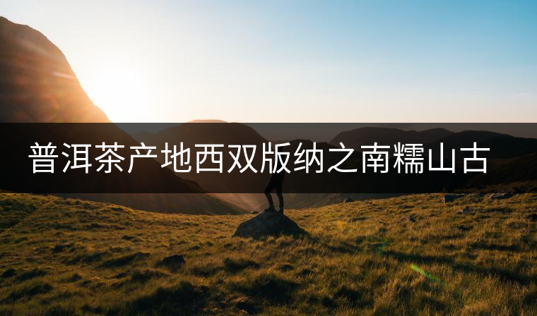 普洱茶產地西雙版納之南糯山古茶山