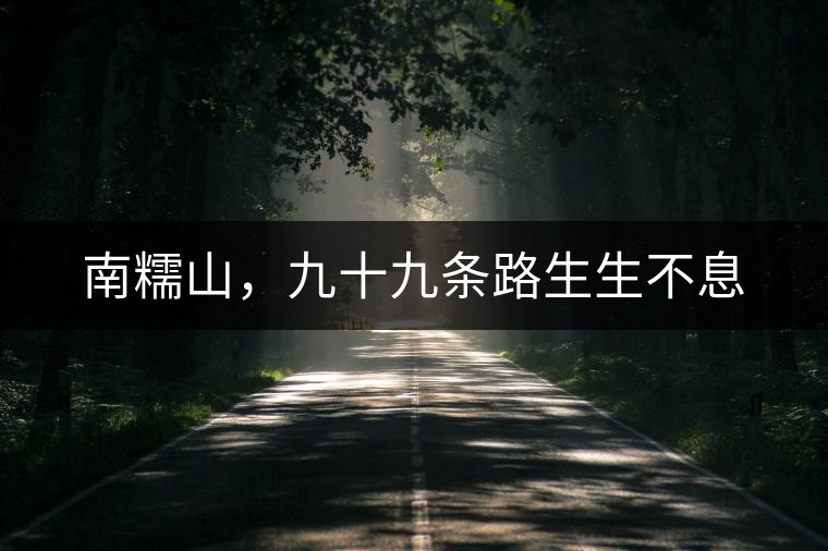 南糯山，九十九條路生生不息