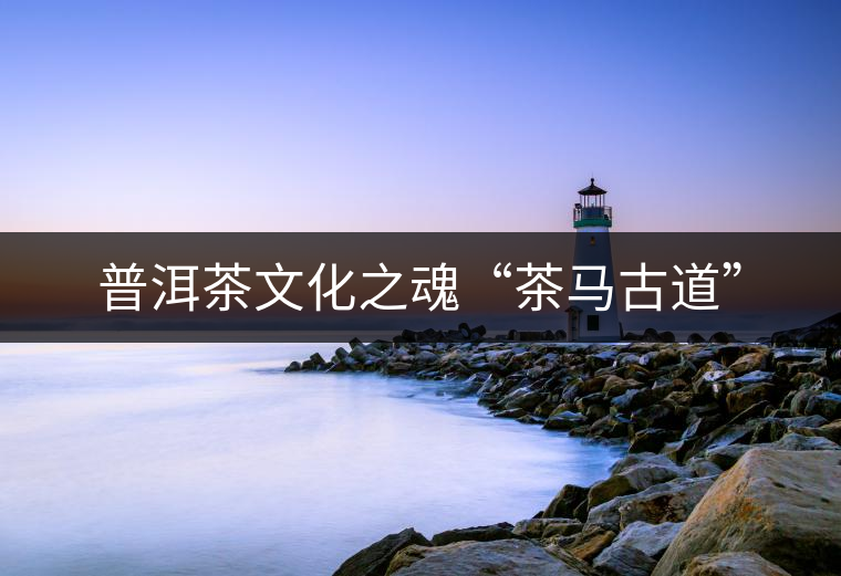 普洱茶文化之魂“茶馬古道” 普洱茶文化之魂“茶馬古道”