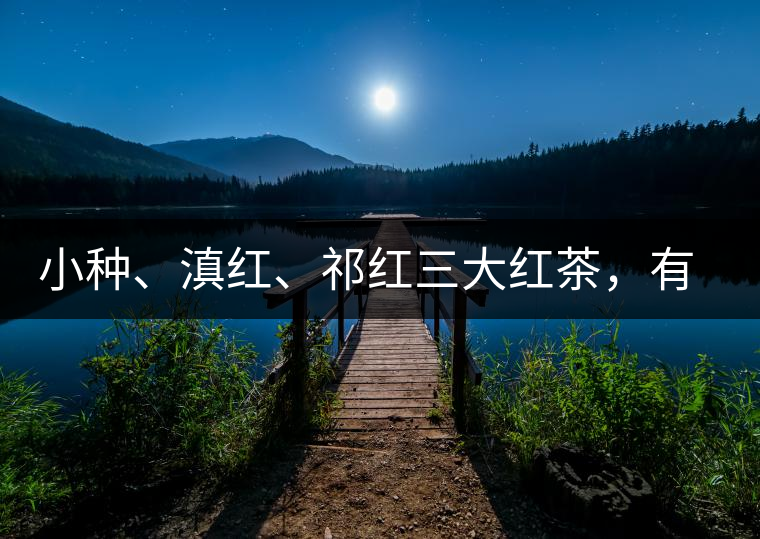 小種、滇紅、祁紅三大紅茶，有何區(qū)別